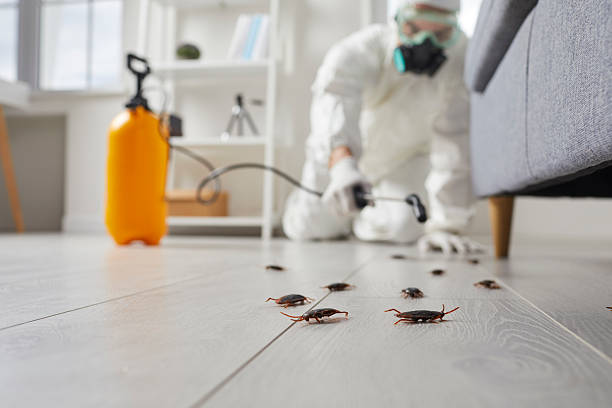 Trusted Fumigation Services service in Sand Hill, PA - Nex Pest Control