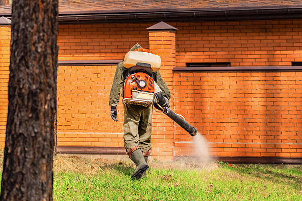 Trusted Mosquito Control service in Sand Hill, PA - Nex Pest Control